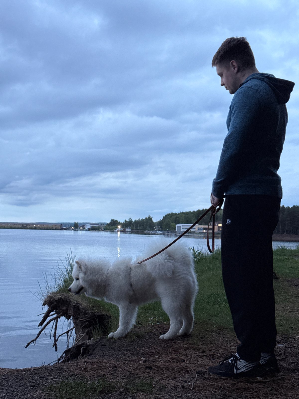 Afternoon dog walking and recreation along Kama River, Chaikovsky
