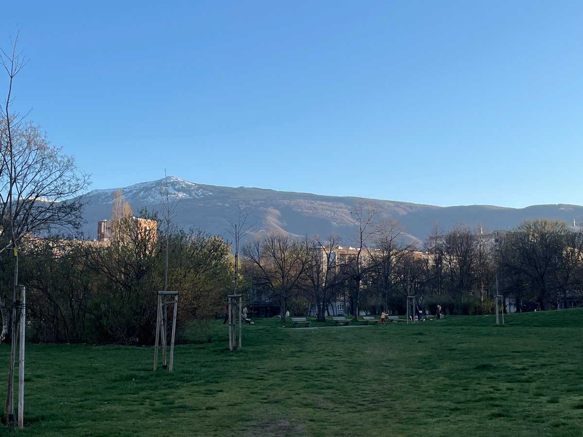 Spring blossoms captured in Sofia park with mountain backdrop