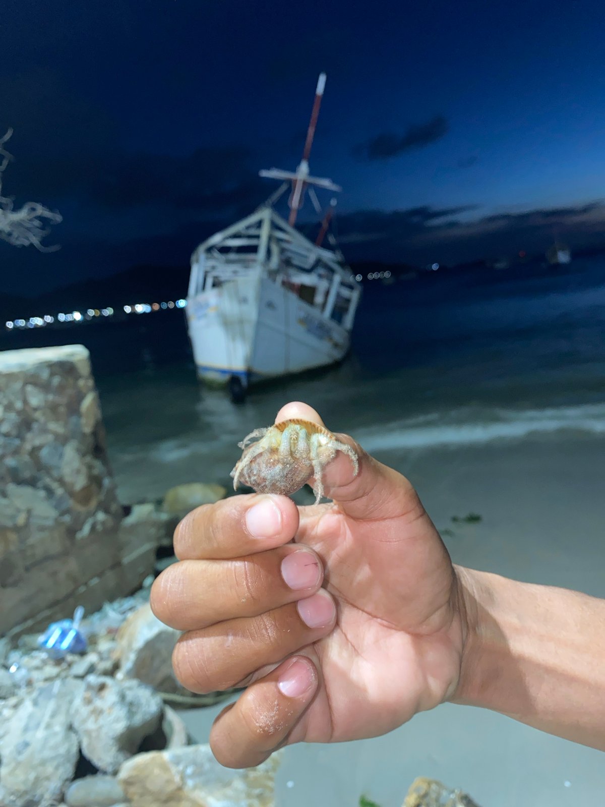 Vessel 'Julia Carolina' beached in Juan Griego, Venezuela Friday evening