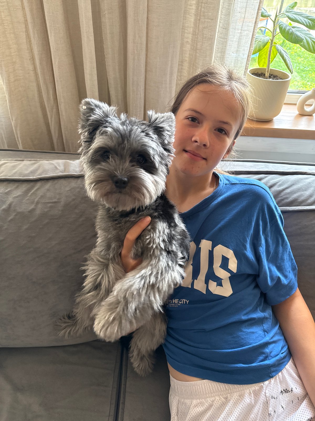 Snapdragons, a schnauzer, and a quiet morning in Chaikovsky