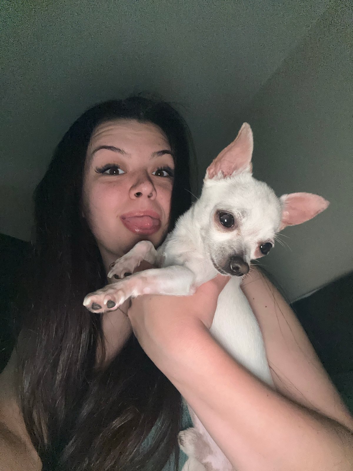 Woman and white Chihuahua share playful photo session in Bulgaria