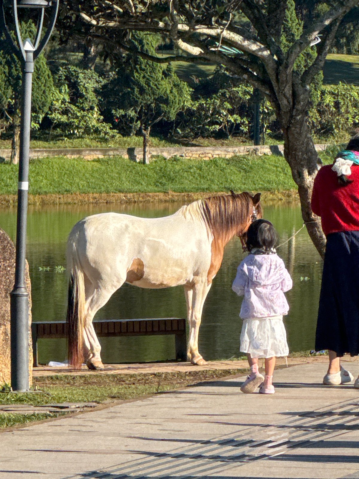 Early morning recreation scenes captured around Da Lat lake