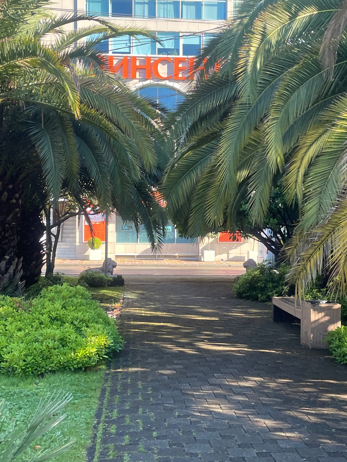 Morning stroll through Sochi resort area captured in 15 memories
