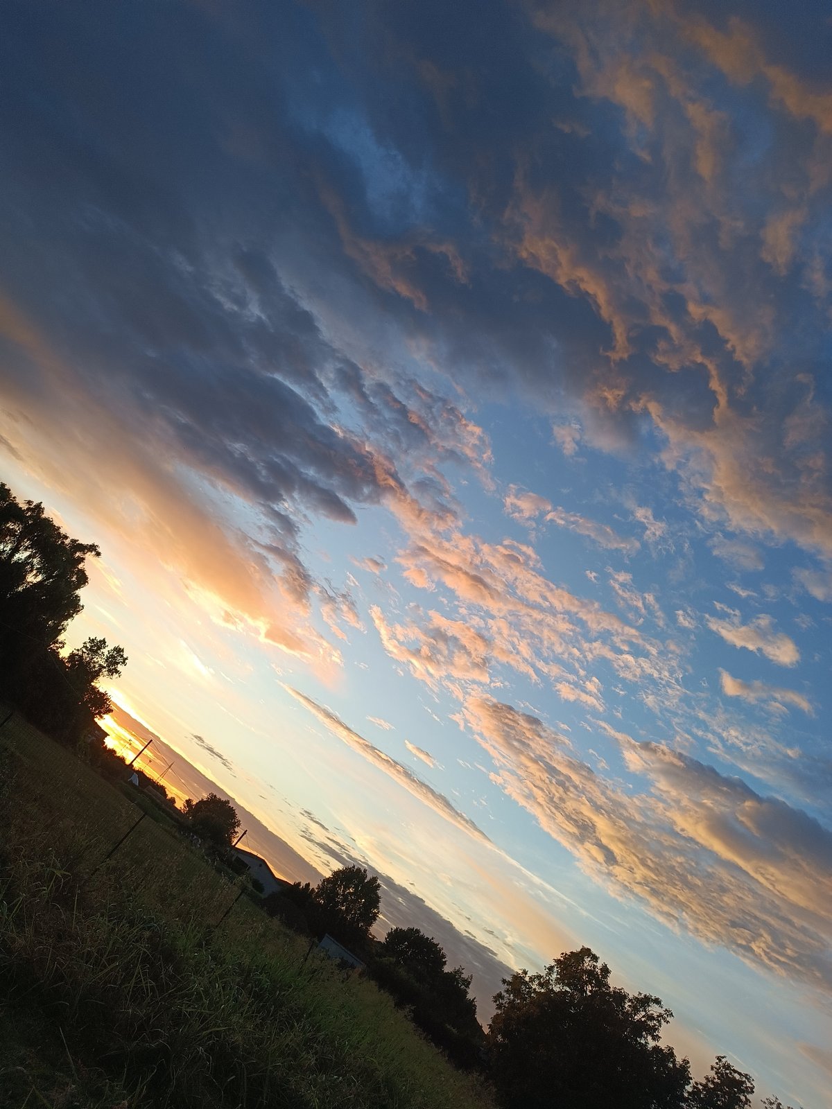 Post-rain sunset and garden details in rural Viadana