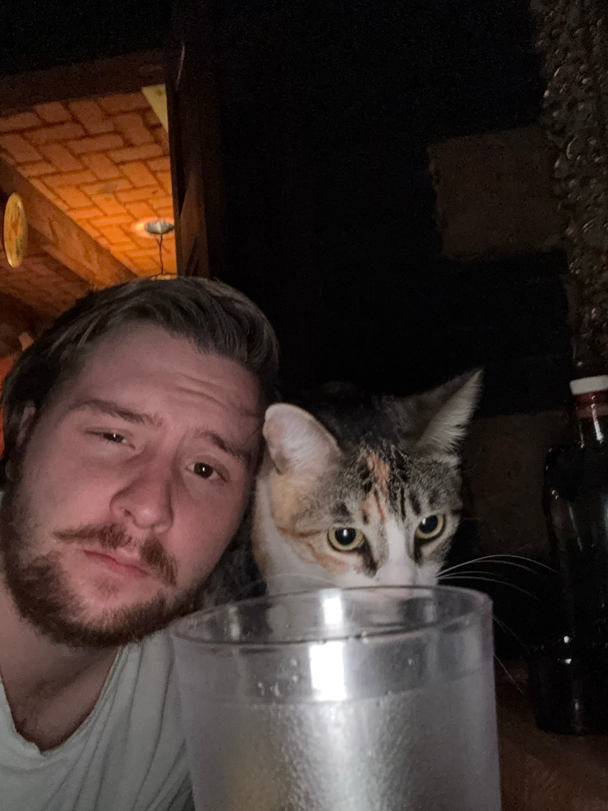 Late-night living room scenes with a cat in Cañada de Madero