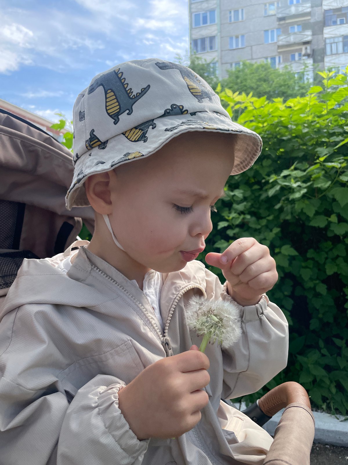 Child in stroller plays with dandelion on morning sidewalk