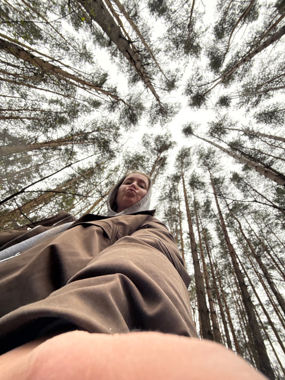 Morning moments captured across Chaikovsky include forest walks, snacks
