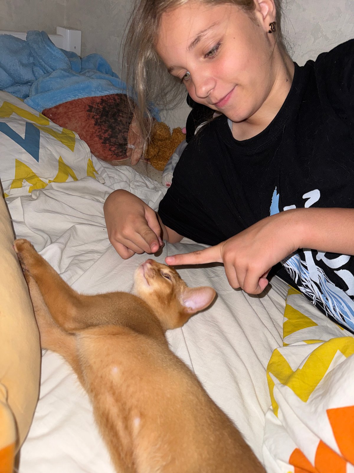 Cozy evening with orange cat in Russian bedroom