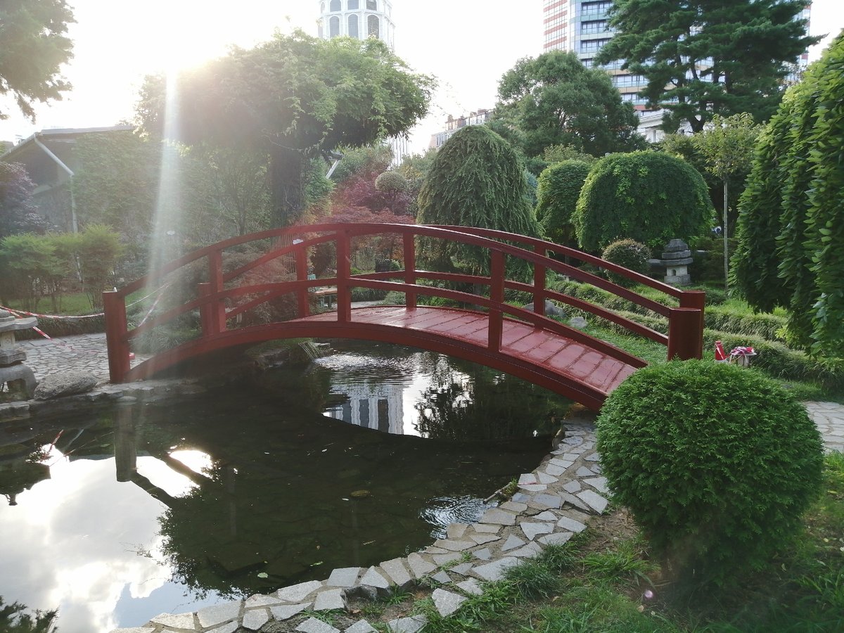 Batumi's gardens, ruins, and skyline in one morning sweep