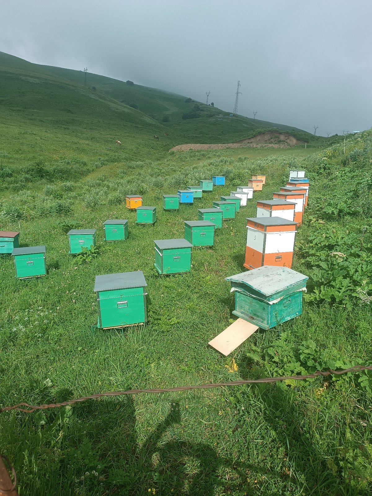 Beehives and wildflowers on the hills of Semyonovka, Armenia