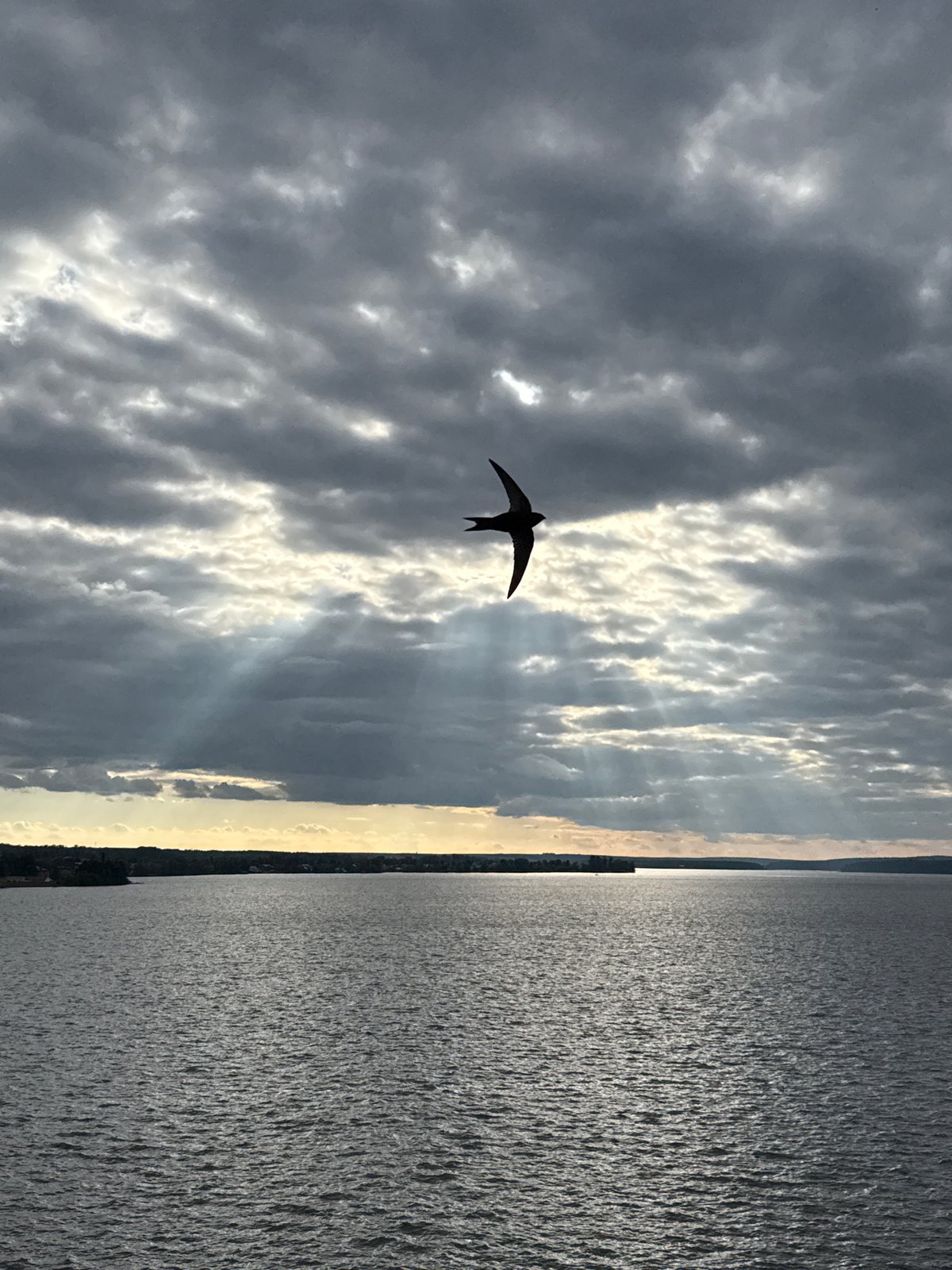 Woman documents afternoon stroll with stroller near Votkinsk Reservoir