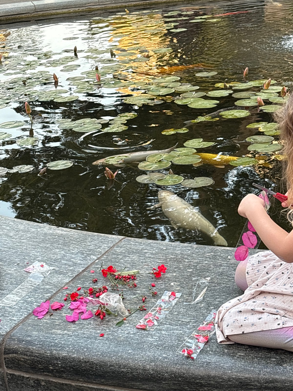Casual afternoon moments captured across Ramat Gan park areas