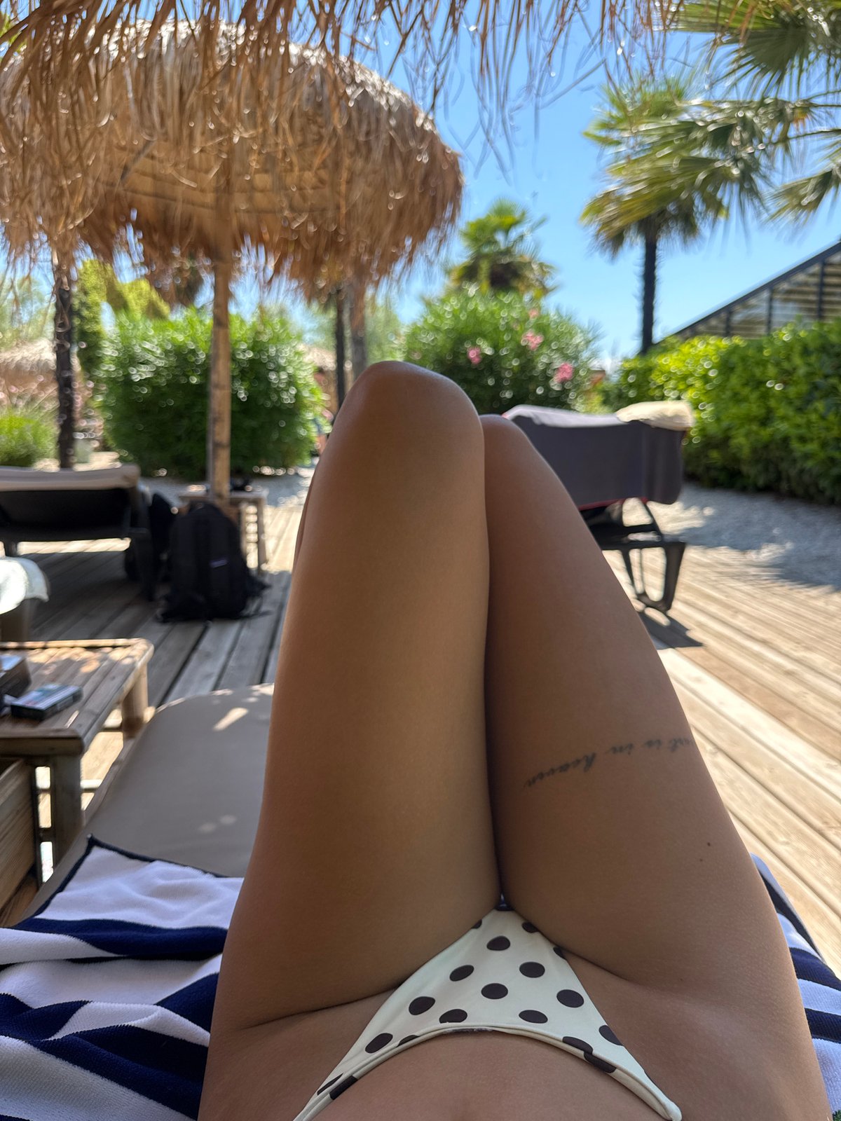 Lounging on a sunny wooden deck in Plovdiv