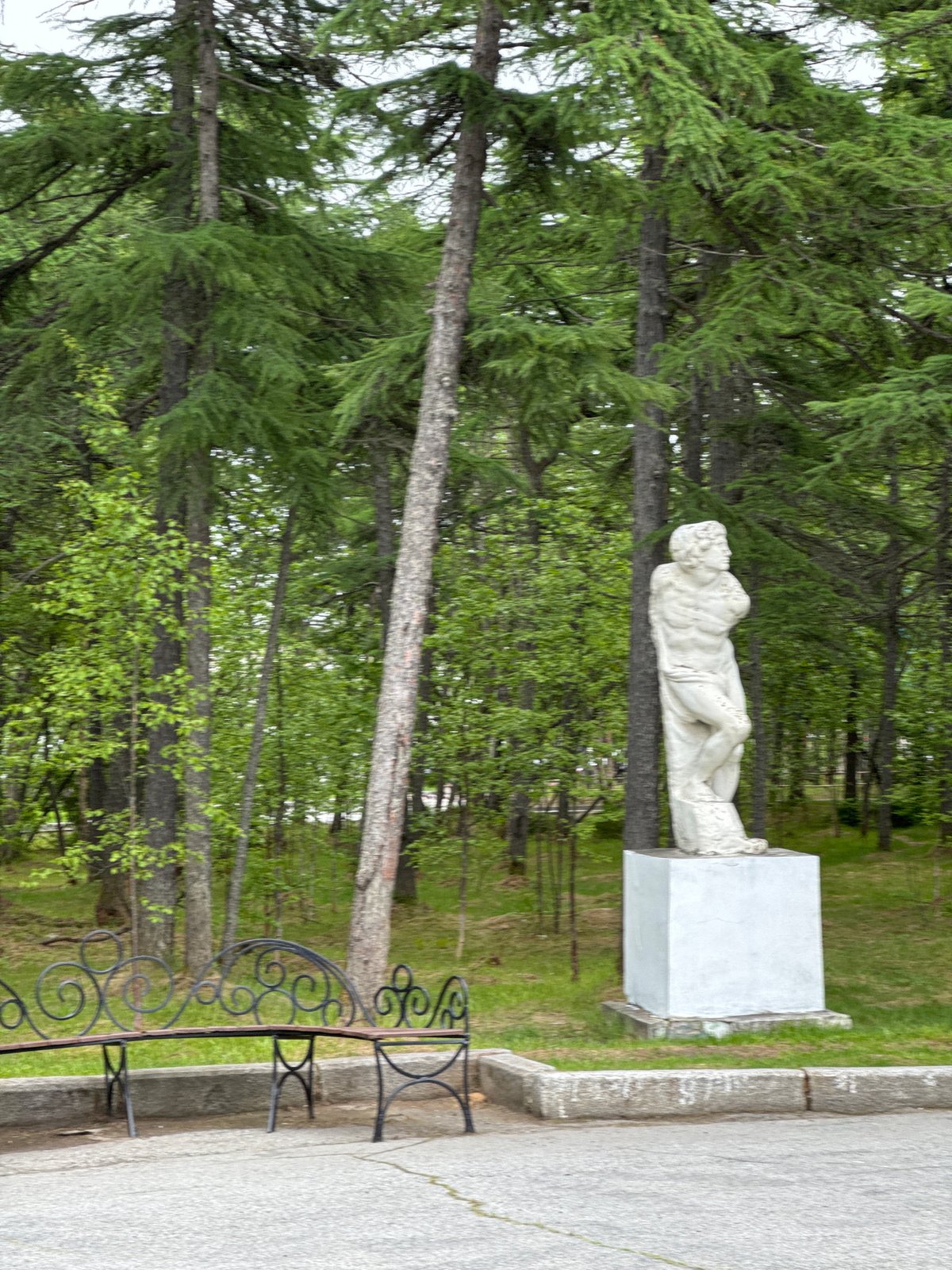 Wandering through a park's paths, greenery, and public spaces