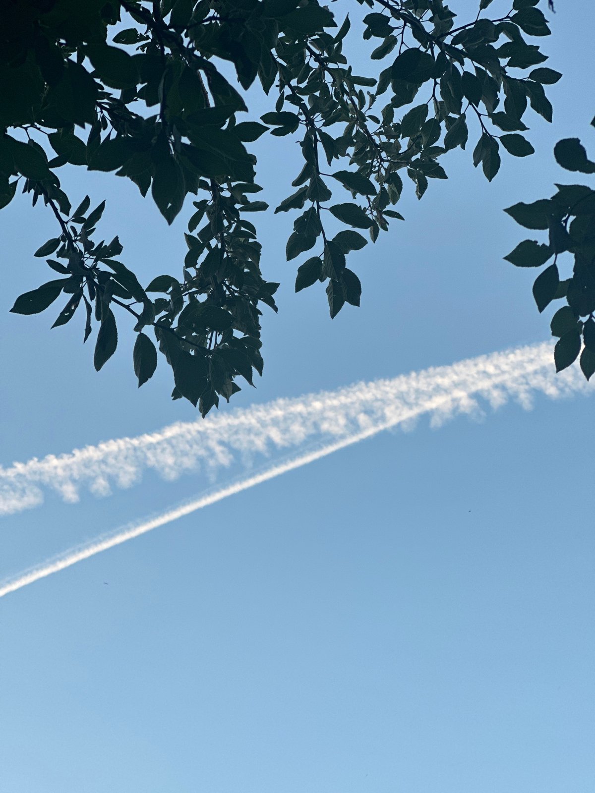 Contrail over Rasskazovo, then a big bonfire after dark