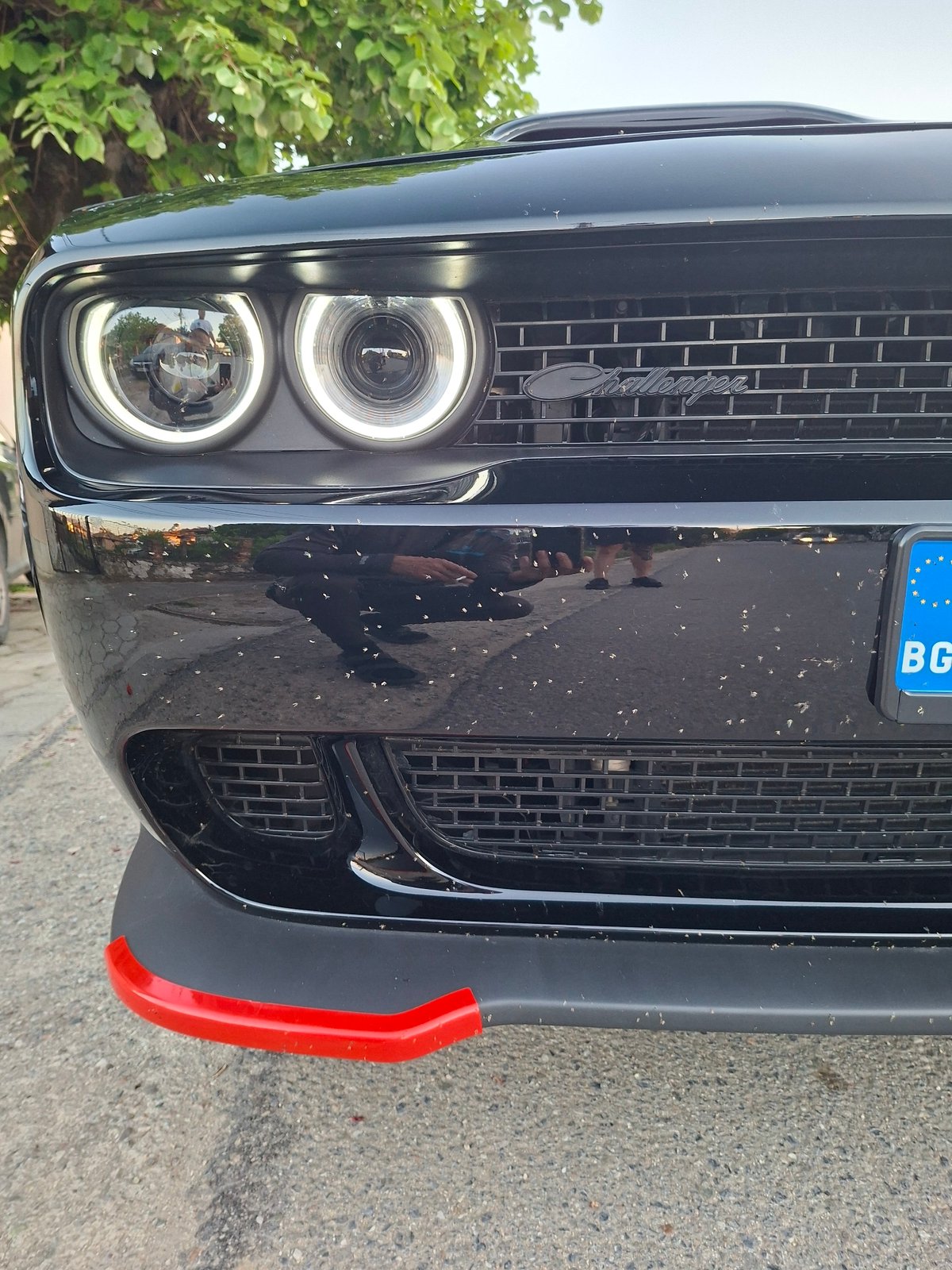 Black Dodge Challenger spotted parked on street