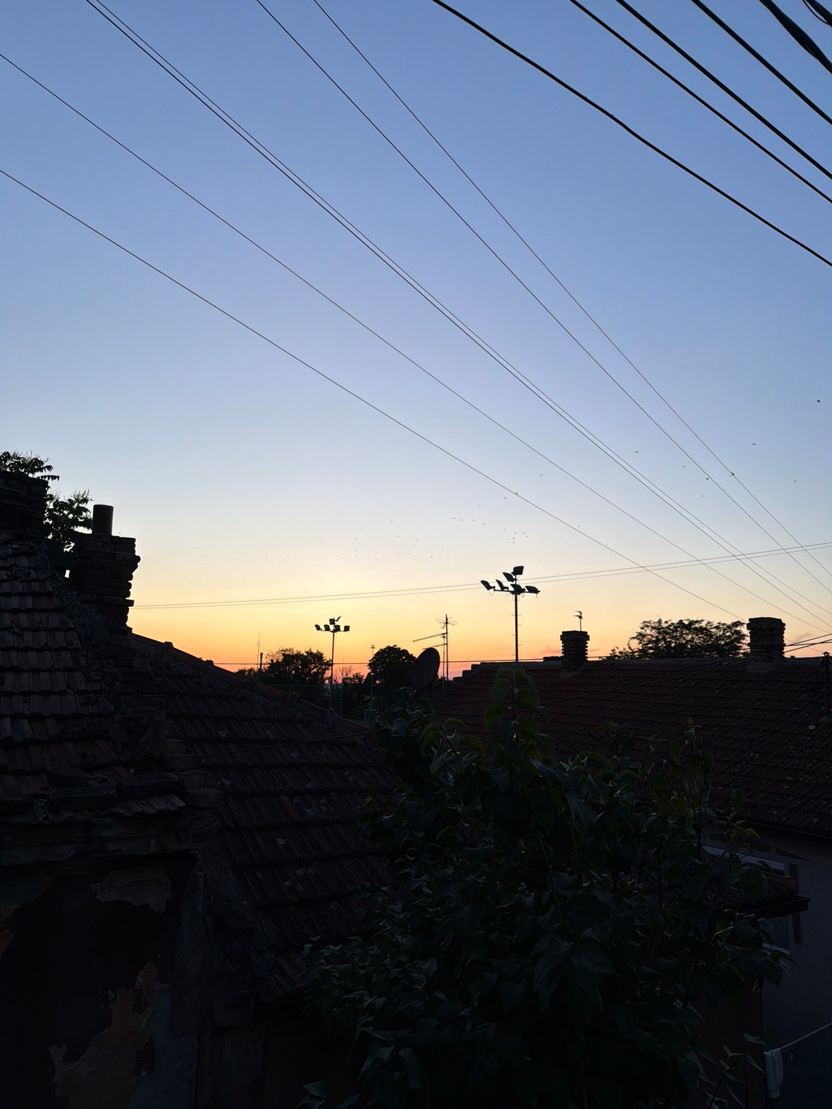 Evening life captured in Belgrade's Palilula residential district