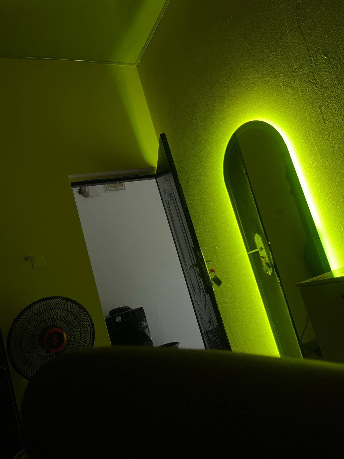 Lime-green room with neon ceiling fixture captured indoors
