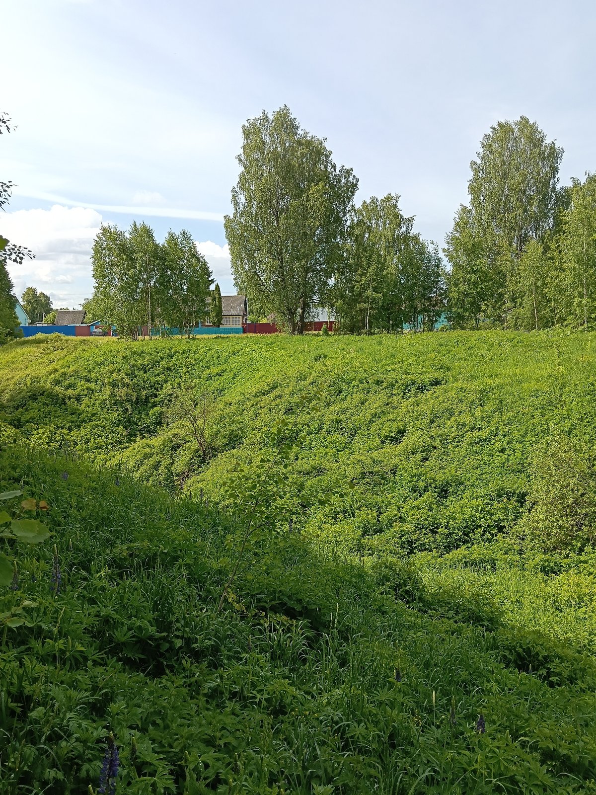 Summer blooms and rural scenes captured in Красный Маяк