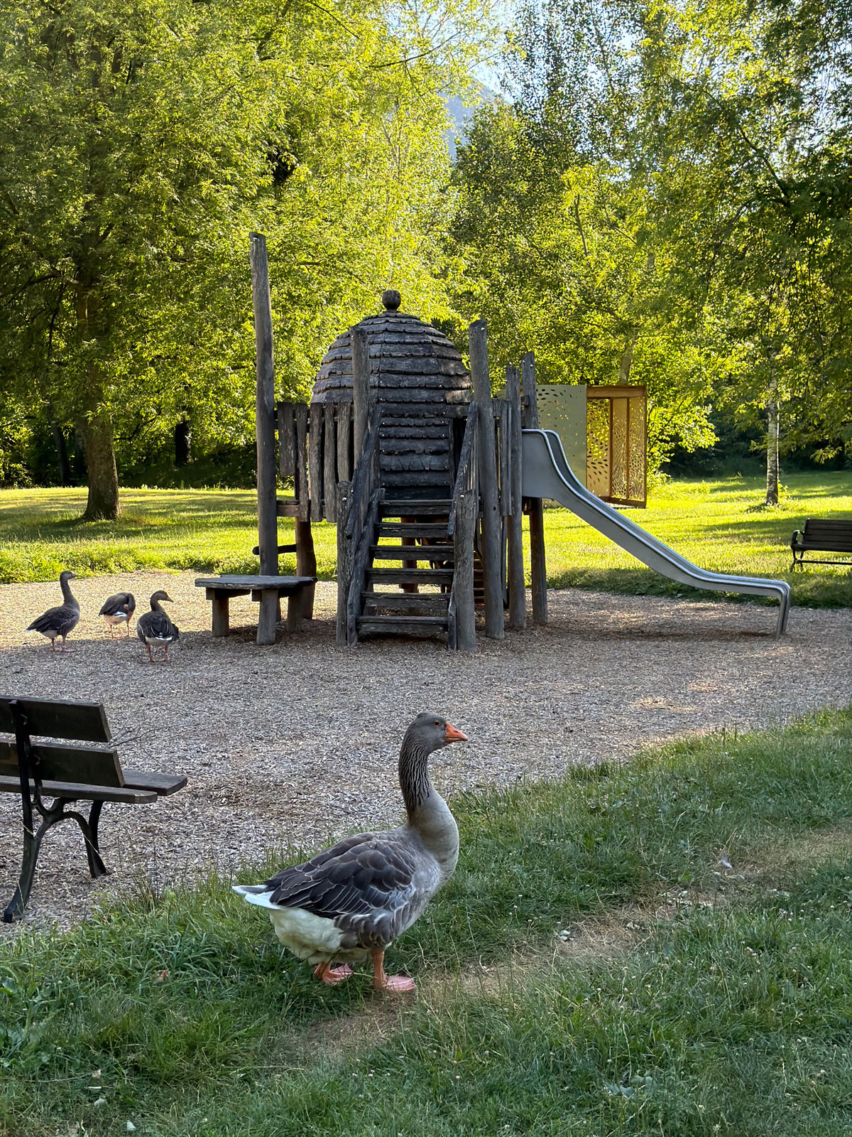 Geese, fish, and a playground at a Vizille park