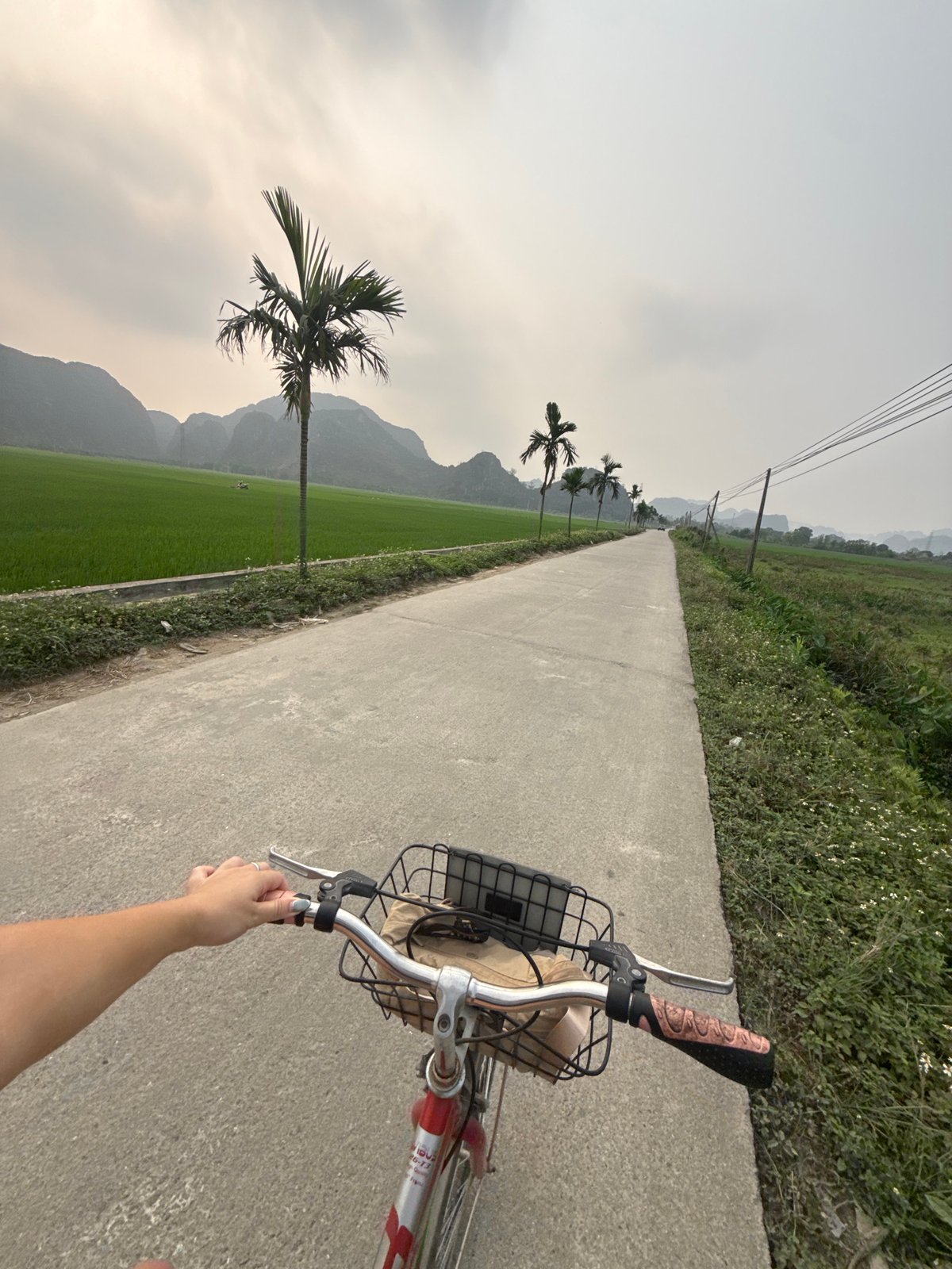 Cyclist rides through rural Vietnamese countryside with rice fields