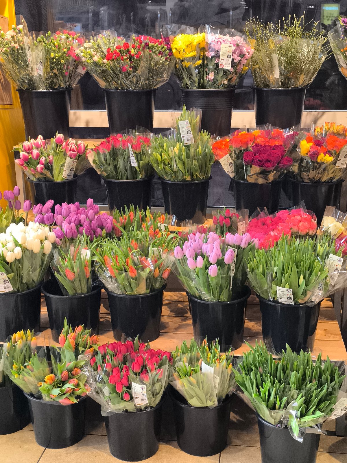Spring afternoon scenes captured in Alkmaar: flowers and cycling