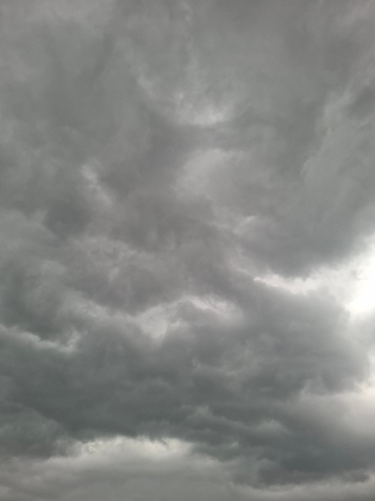 Storm clouds gather over rural Khlevnoye as cat roams field