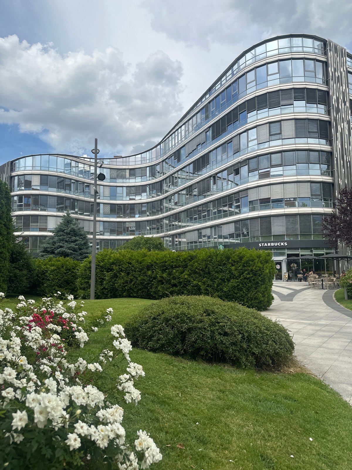 Sofia office district blooms with roses on a cloudy afternoon