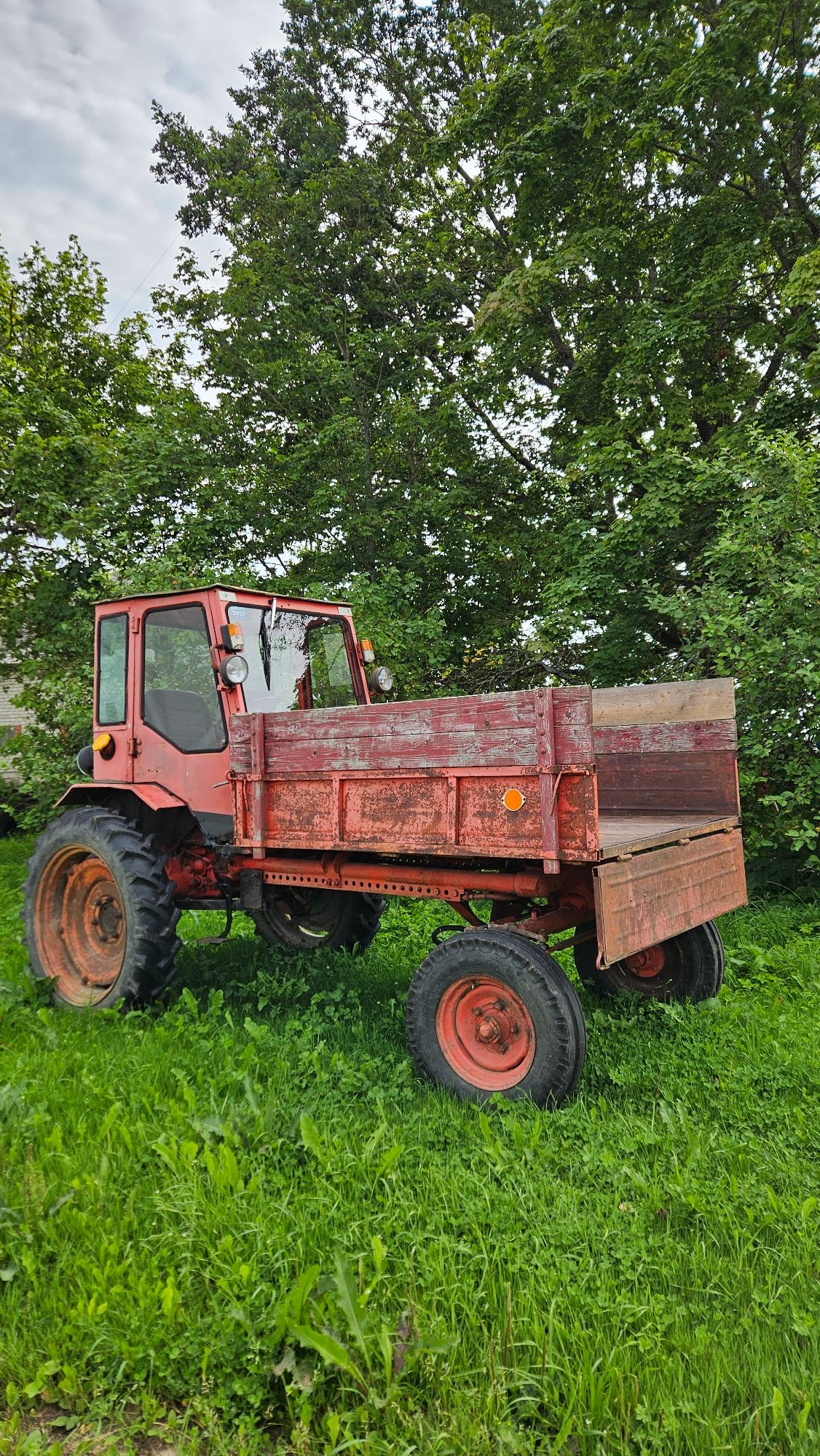 Tractors and apple trees on a Latvian farm morning