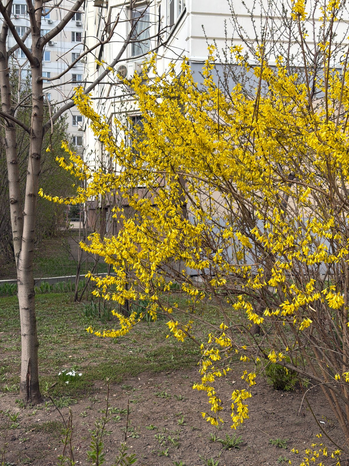 Routine daily scenes captured across Khimki residential and commercial areas