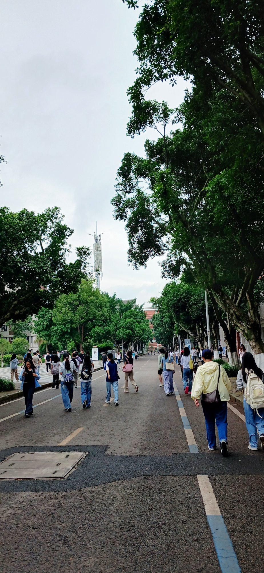 Group walks through Chongqing High-tech Zone streets early morning