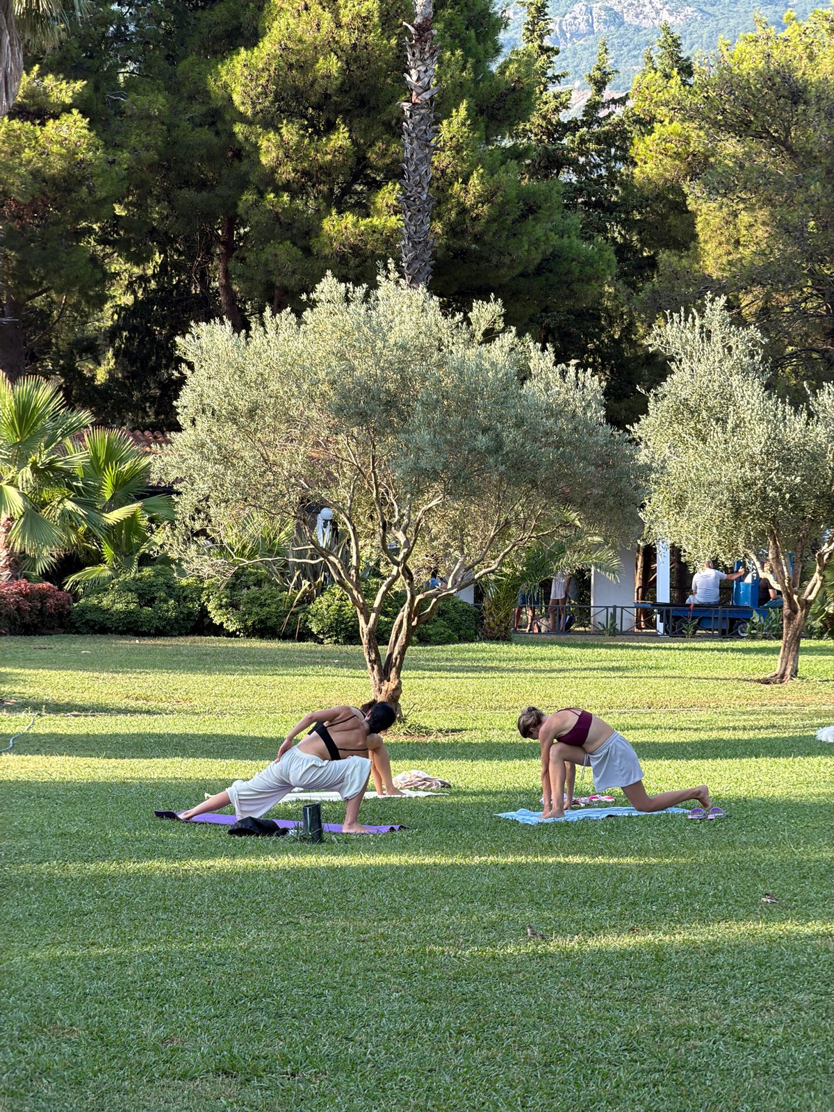 Outdoor yoga session in a sunny Budva park