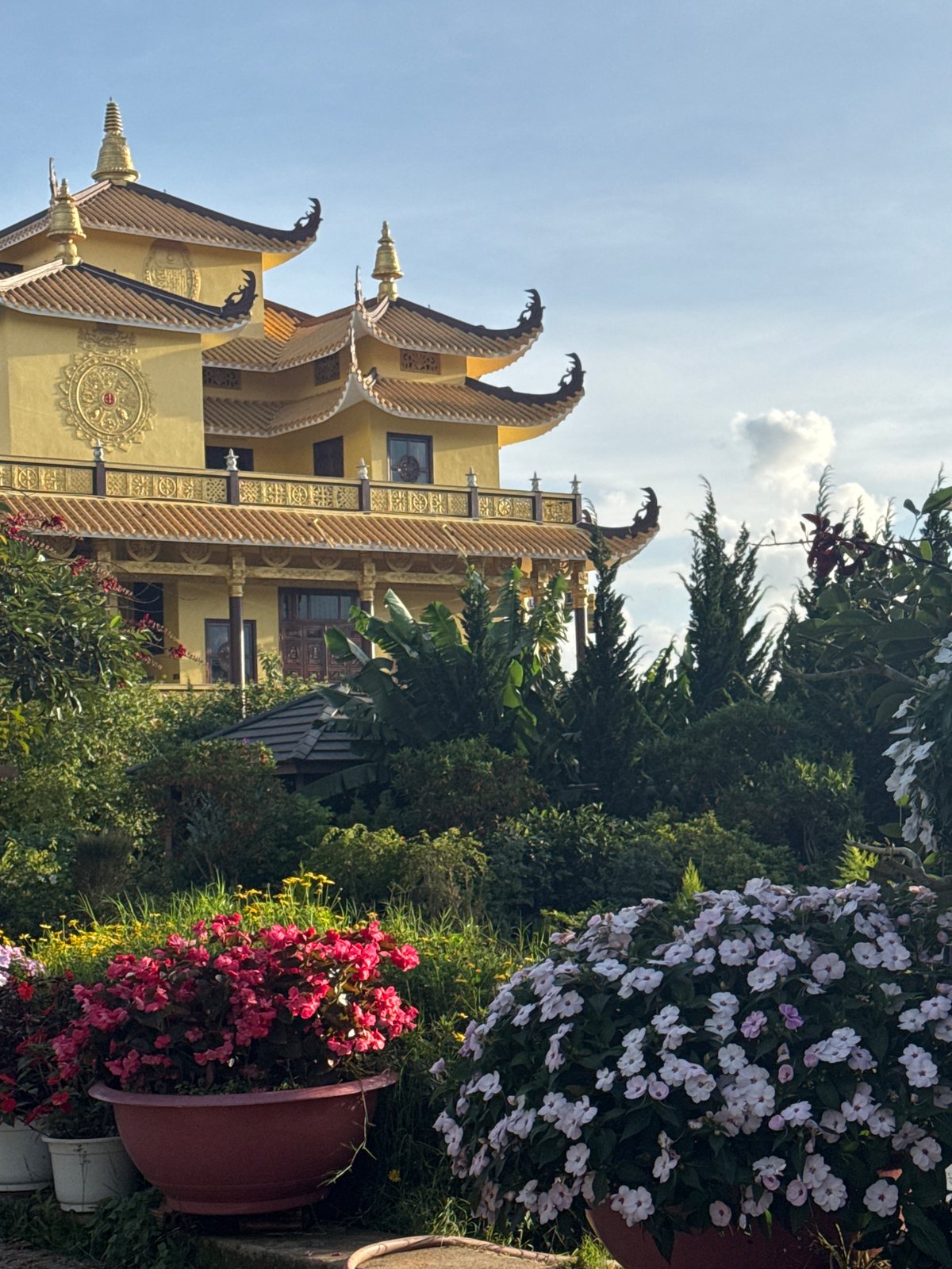 Morning tourism and leisure activities documented across Da Lat parks