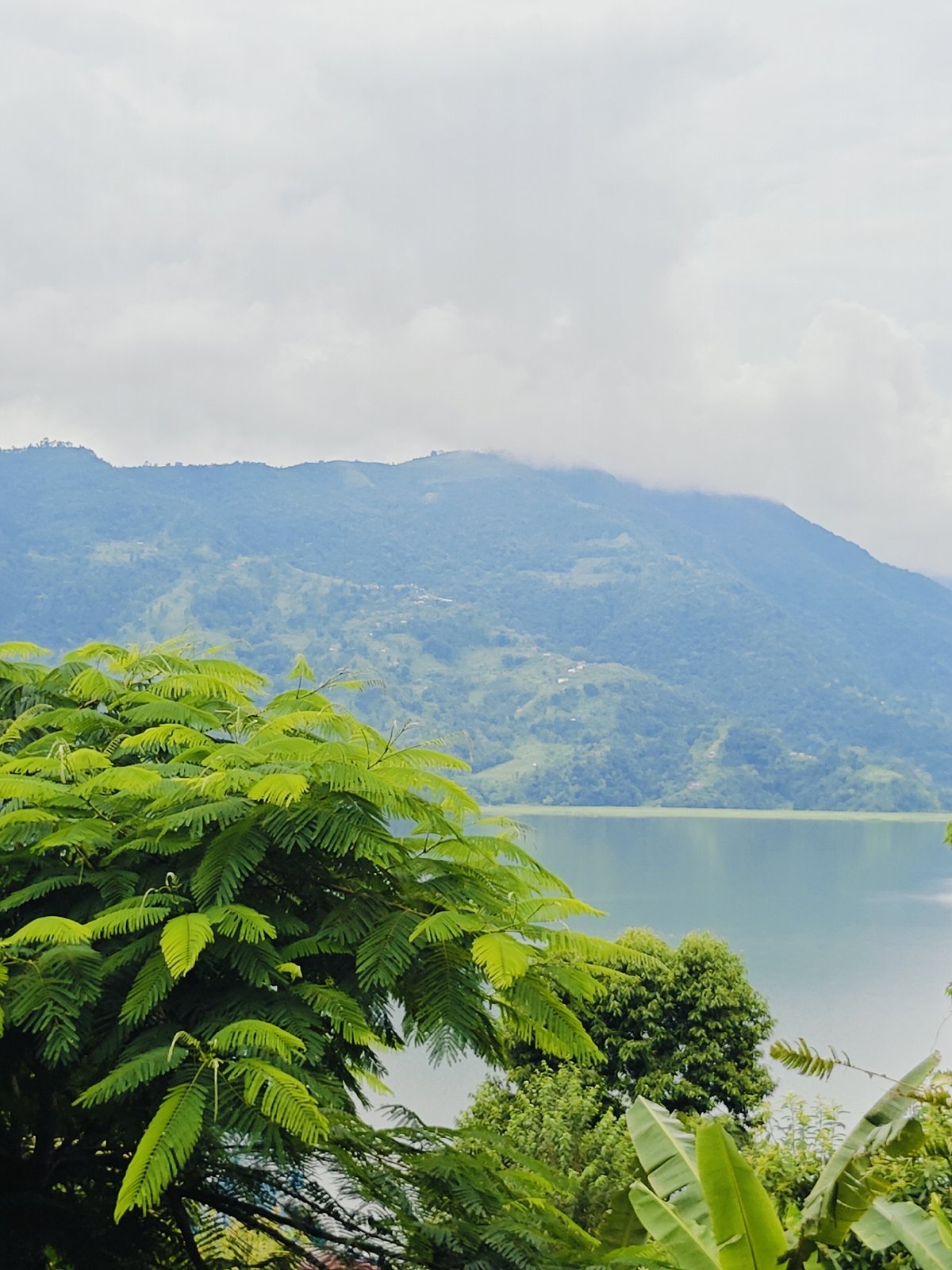 Pokhara from multiple angles: foliage, lake, and mountain backdrop