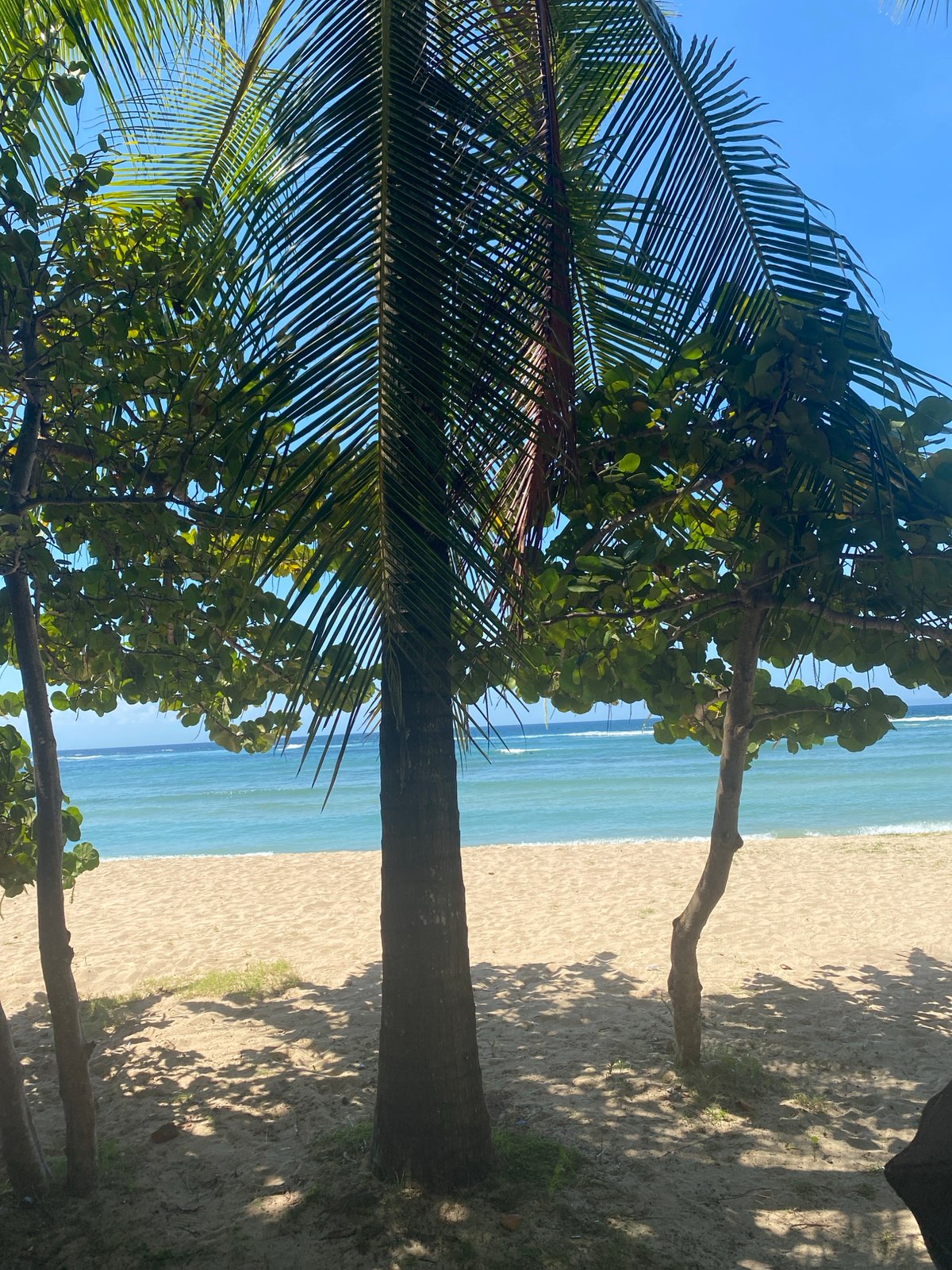 Morning beach walk documented in Kuta Selatan, Indonesia