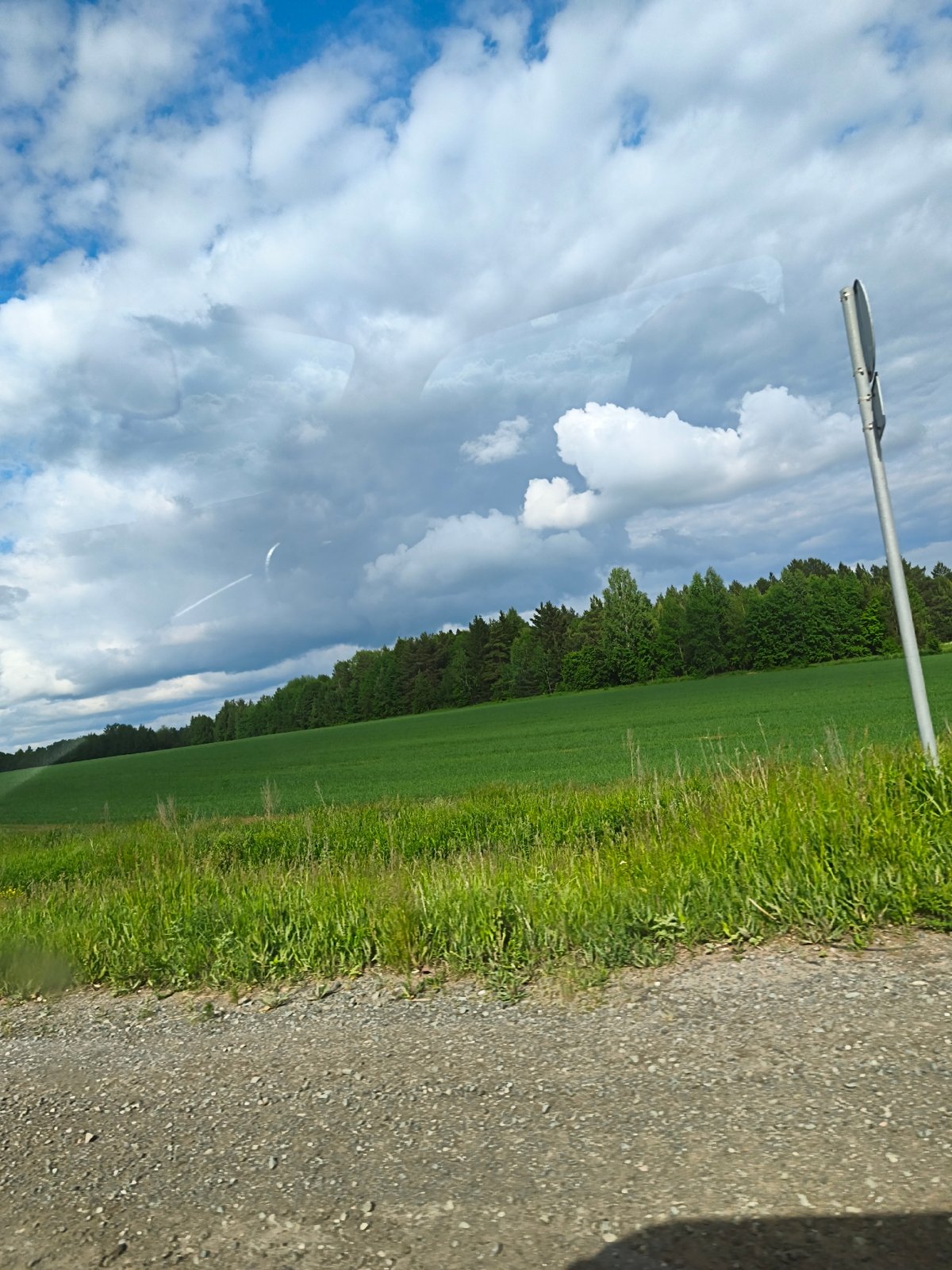 Rural landscape photographed from vehicle near Yakshur, Russia
