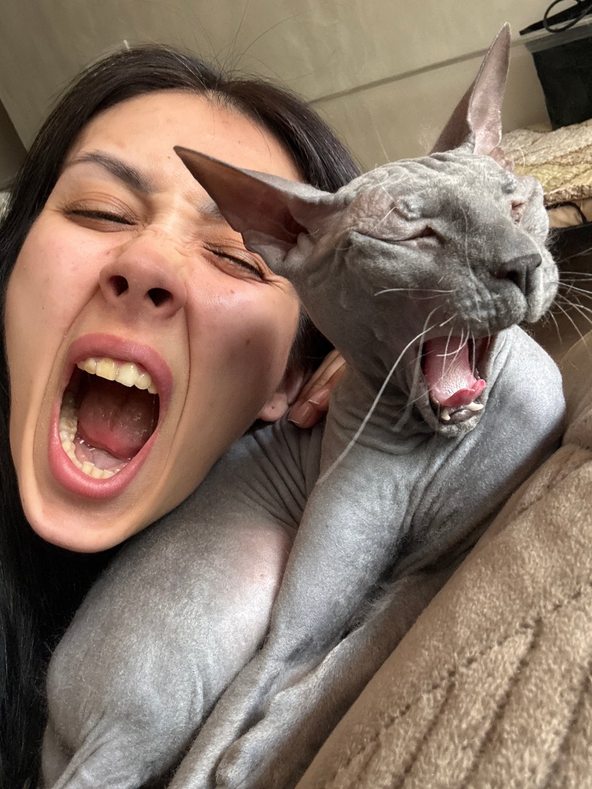 Woman and Sphynx cat share quiet morning moments in Votkinsk