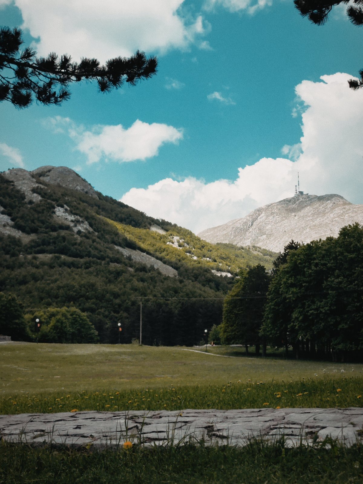 Visitors enjoy outdoor recreation in Montenegro mountain meadow