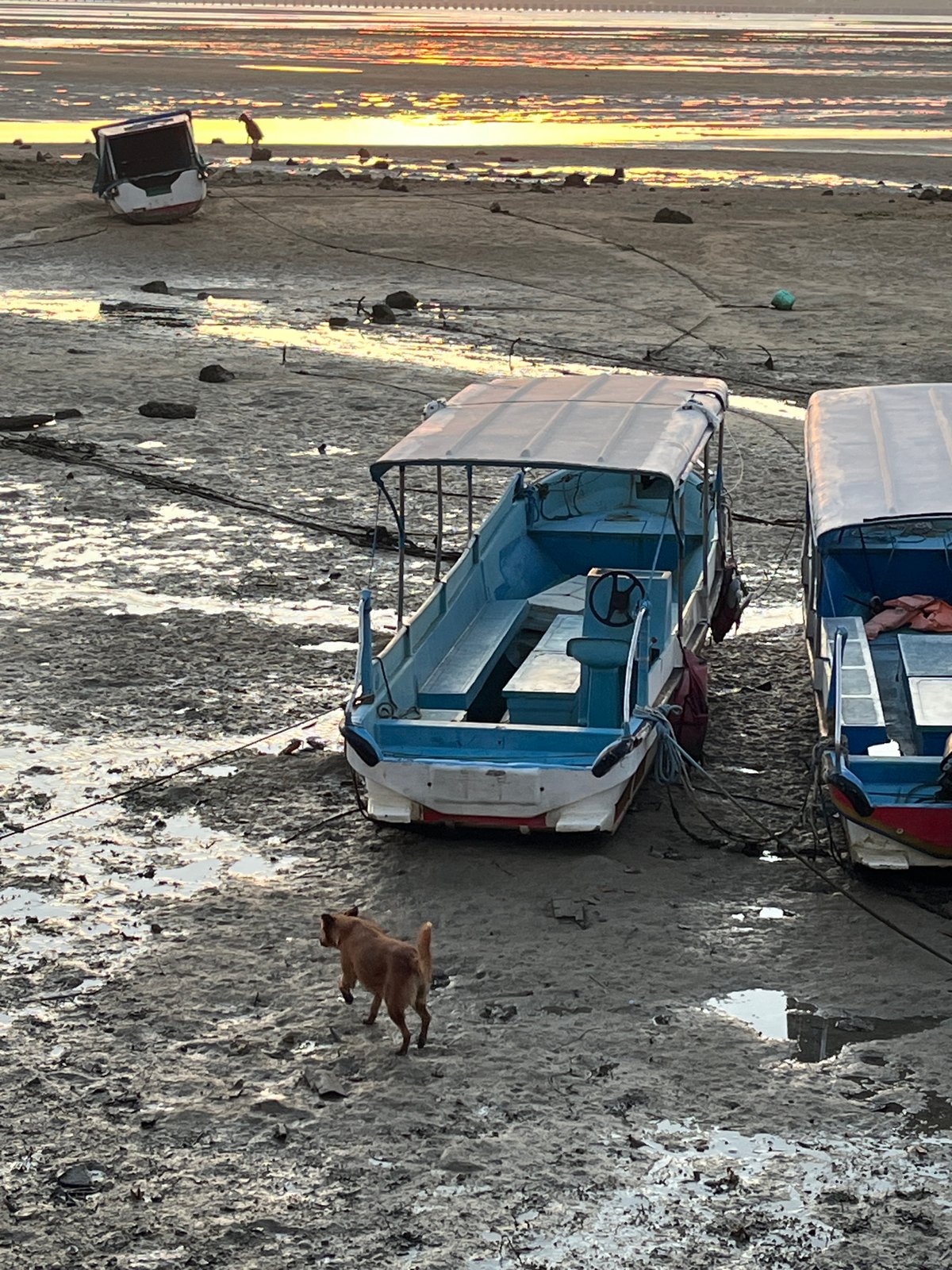 Sunset gathering draws observers to Kuta Selatan tidal flats
