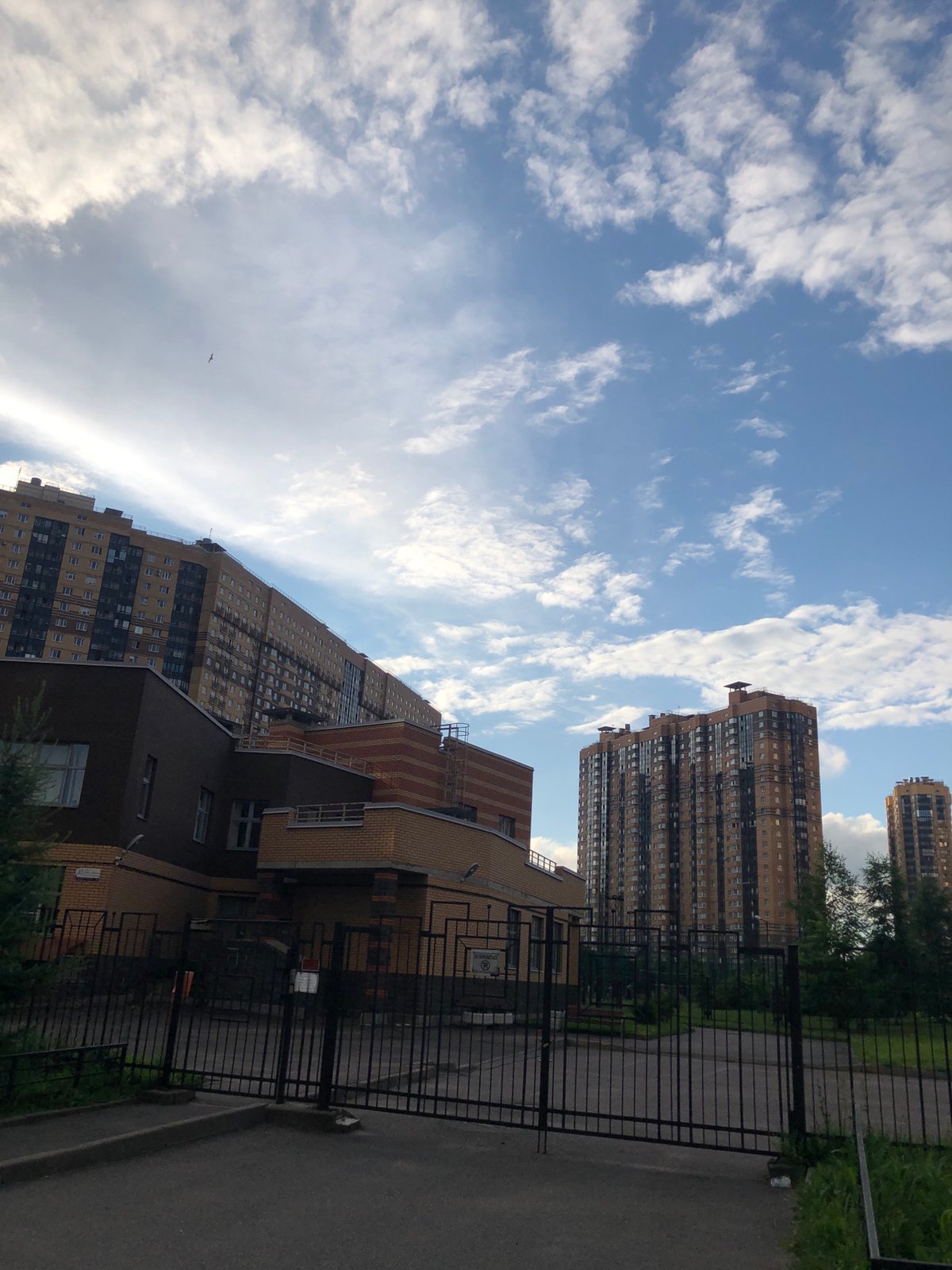 Apartment blocks, roses, and a strolling bird in a residential neighborhood
