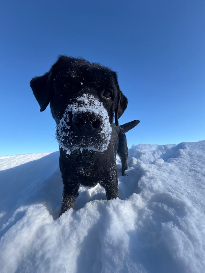 Daily life moments documented across Chaikovsky, Russia during winter morning