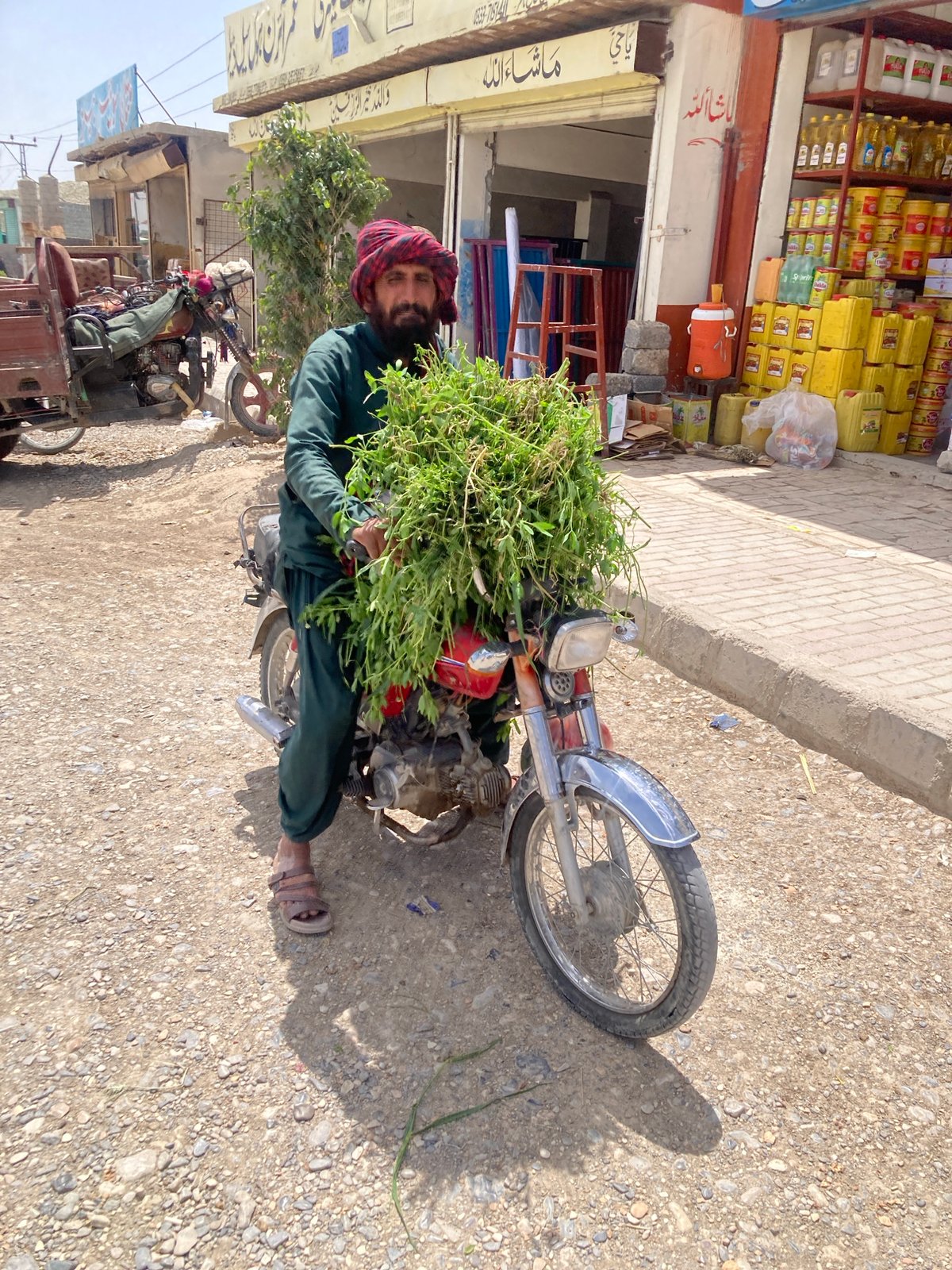 Overloaded motorcycle carries green leafy cargo in Loralai, Pakistan