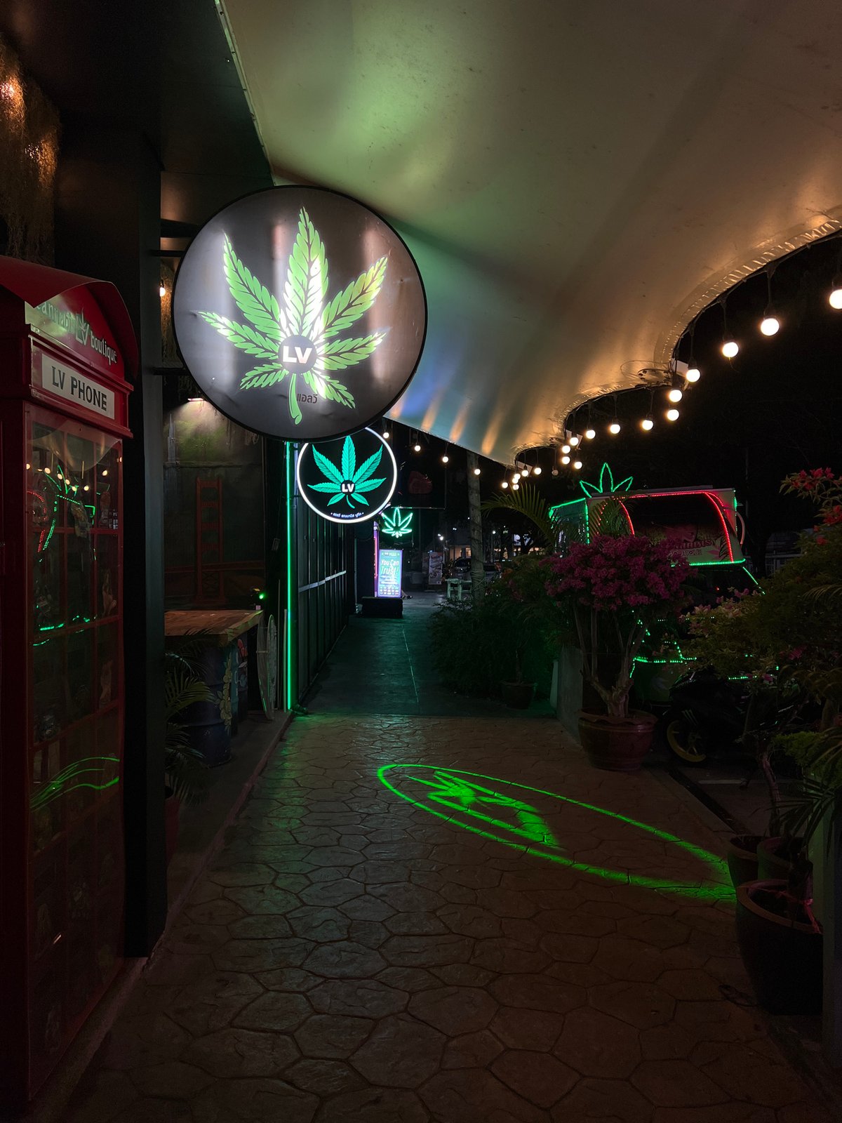 Nighttime alleyway scene captured in entertainment district