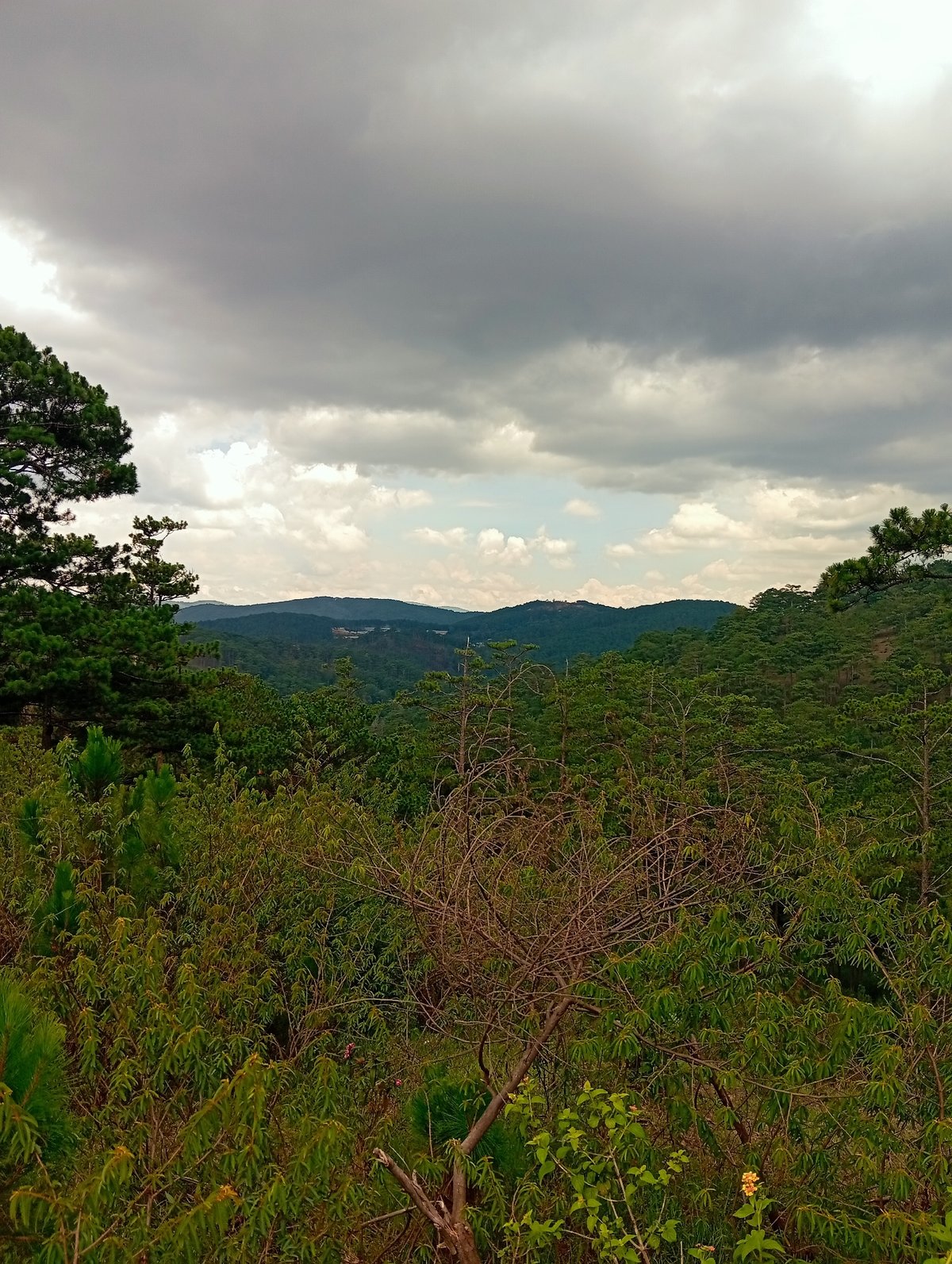 Overcast landscape with green hills photographed early morning