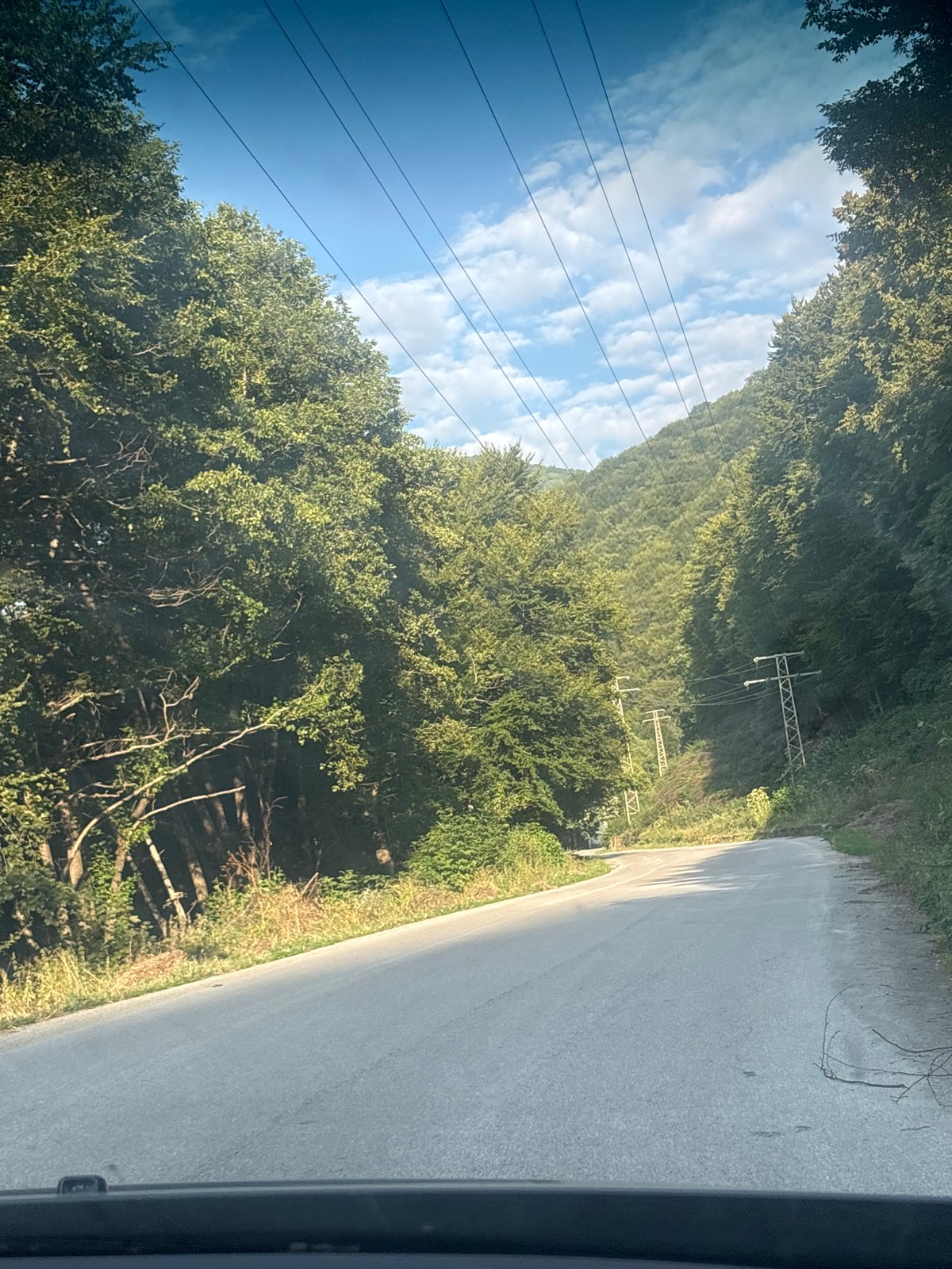 Winding through forested mountain roads on a summer afternoon
