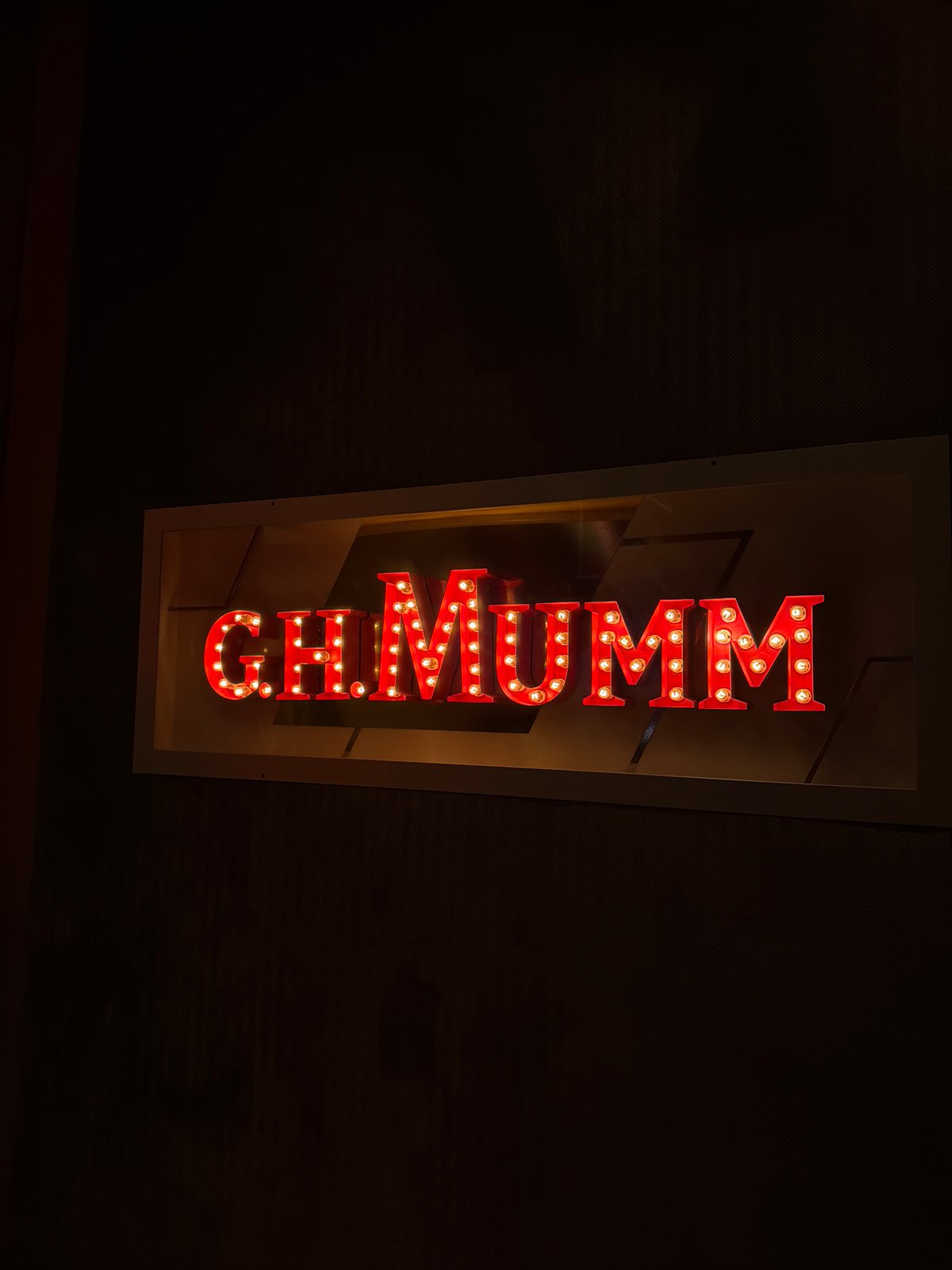 Neon entertainment signs documented in Sofia district