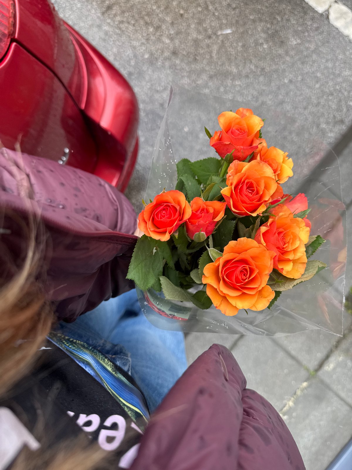 Morning scenes captured in Sofia: flowers and rain
