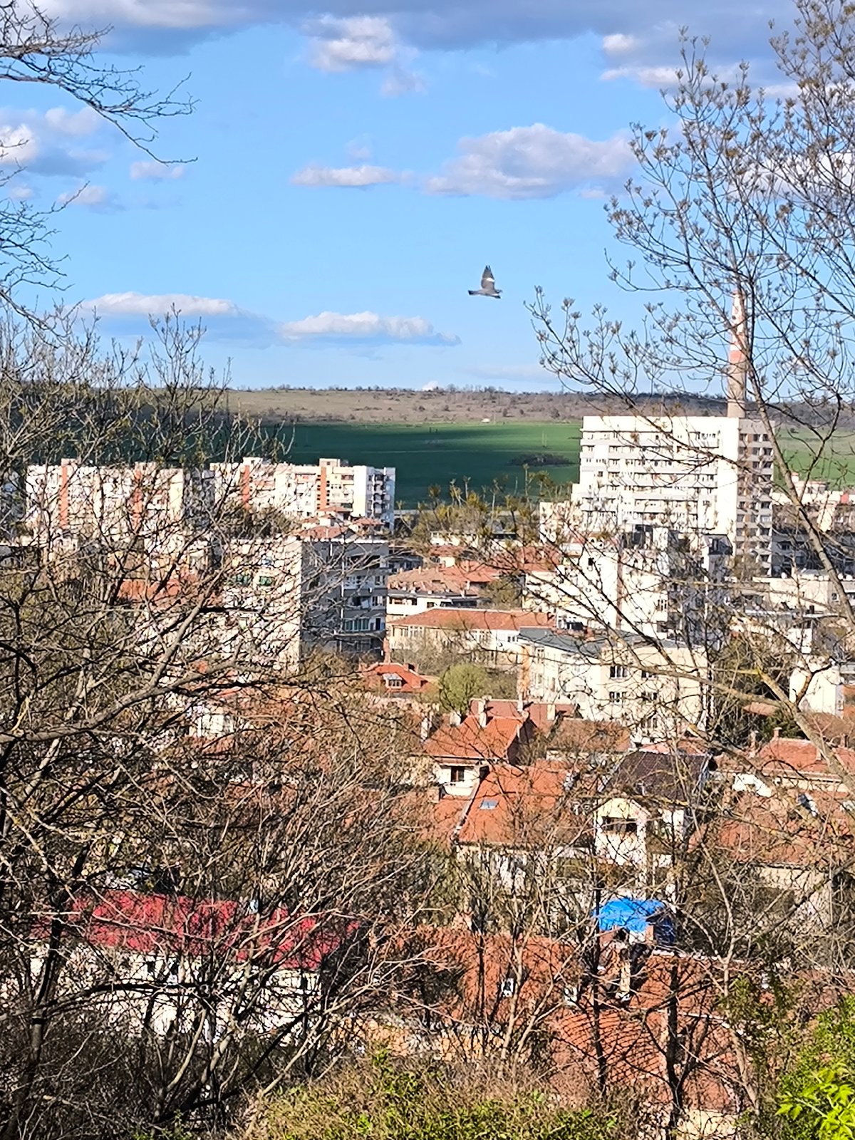 Elevated cityscape view captured in Pleven, Bulgaria