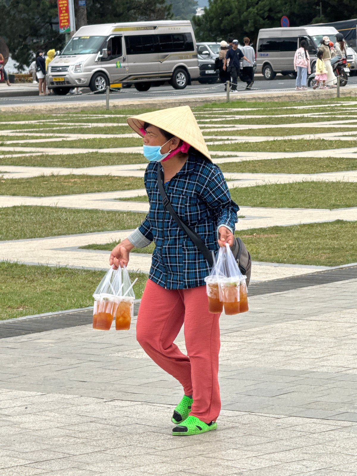 Da Lat Flower Park: vendors, kites, and landmarks on a gray morning
