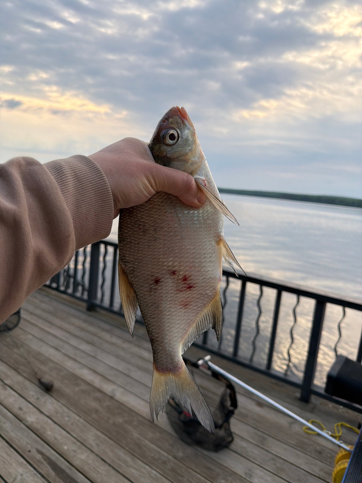 Early morning fishing session yields catches in Chaikovsky, Russia